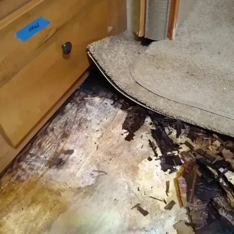 Wood Floor Water Damage in Osprey, FL